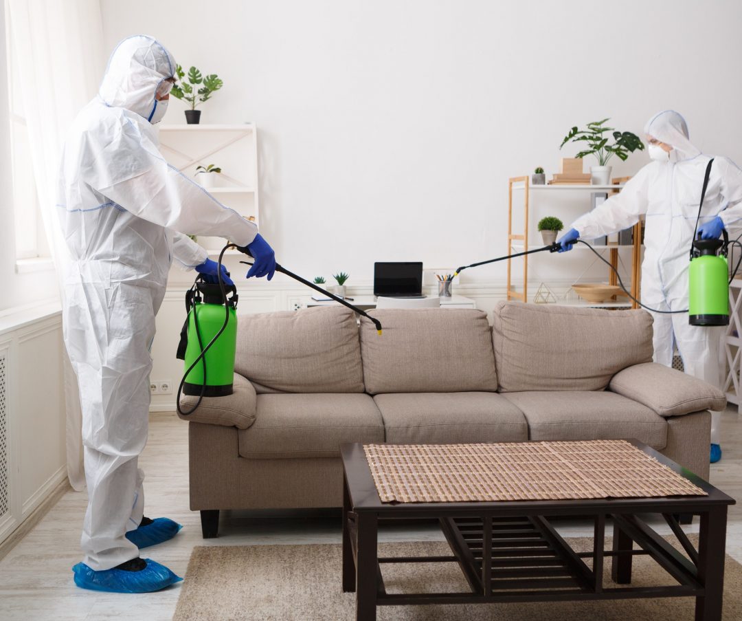 The Role of Pest Control in Protecting Your Health