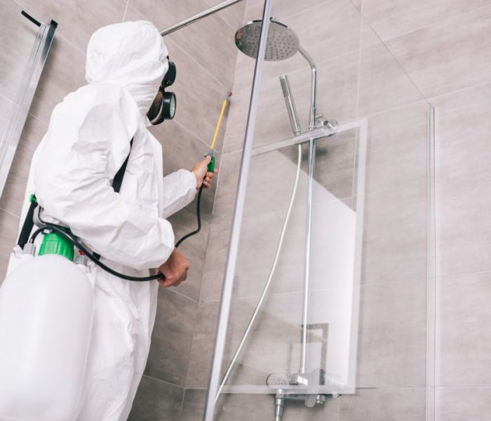 low-angle-view-of-pest-control-worker-spraying-pesticides-with-sprayer-in-bathroom.jpg